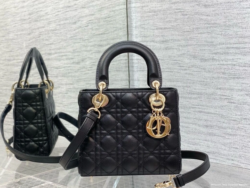 Tony Luxuries SmallCalfskin-20-16.5-8CM Lady diro 0805